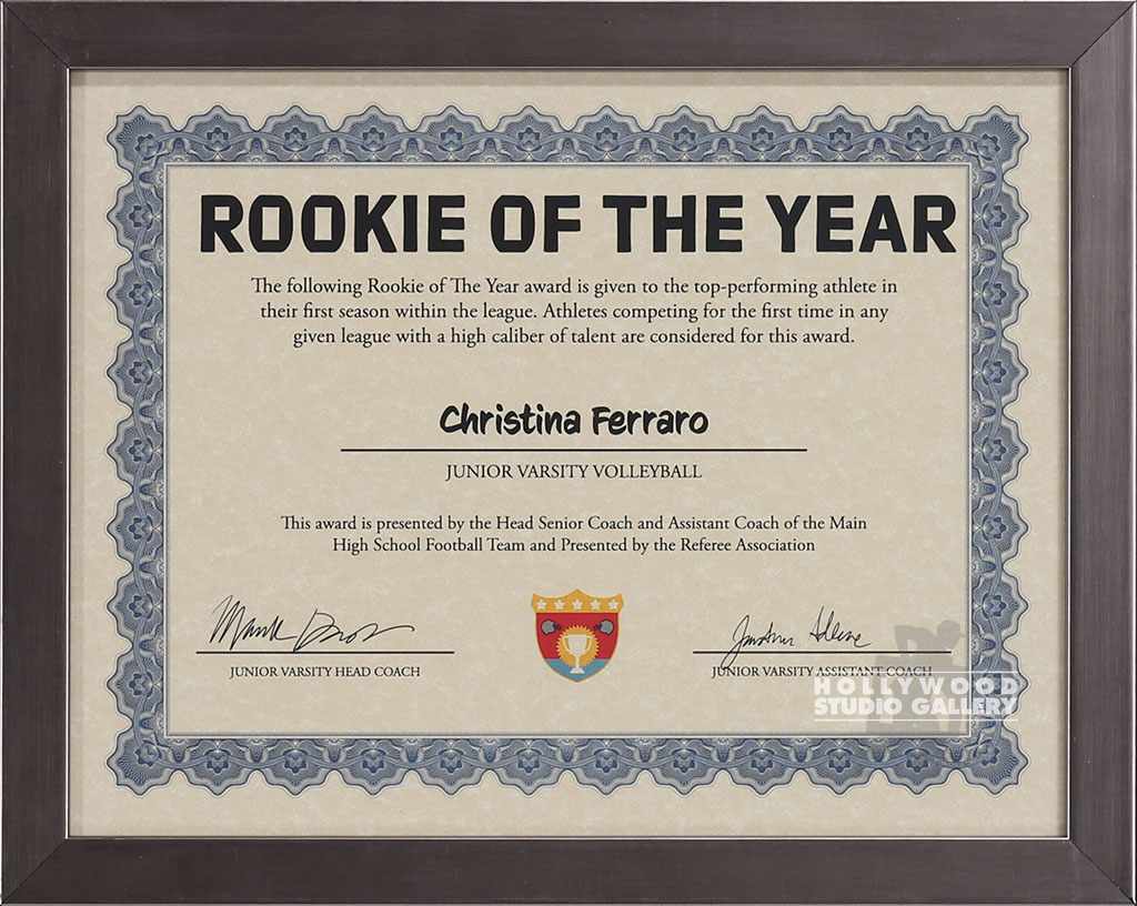 10x12-rookie-of-the-year-cert-slvr-in-certificates