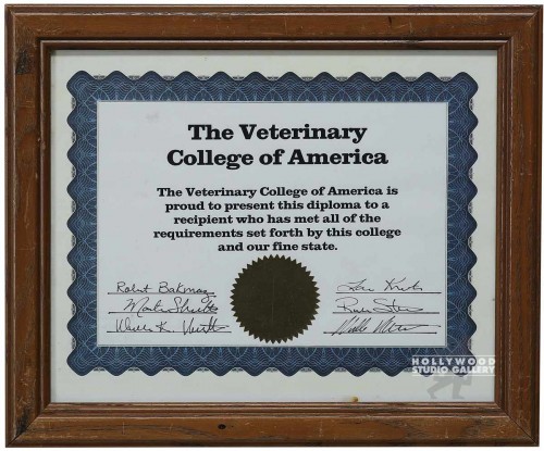 10x12 Veterinary Certificate in Certificates